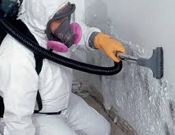 Why You Should Choose Our Mold Remediation Services in Fond Du Lac, WI